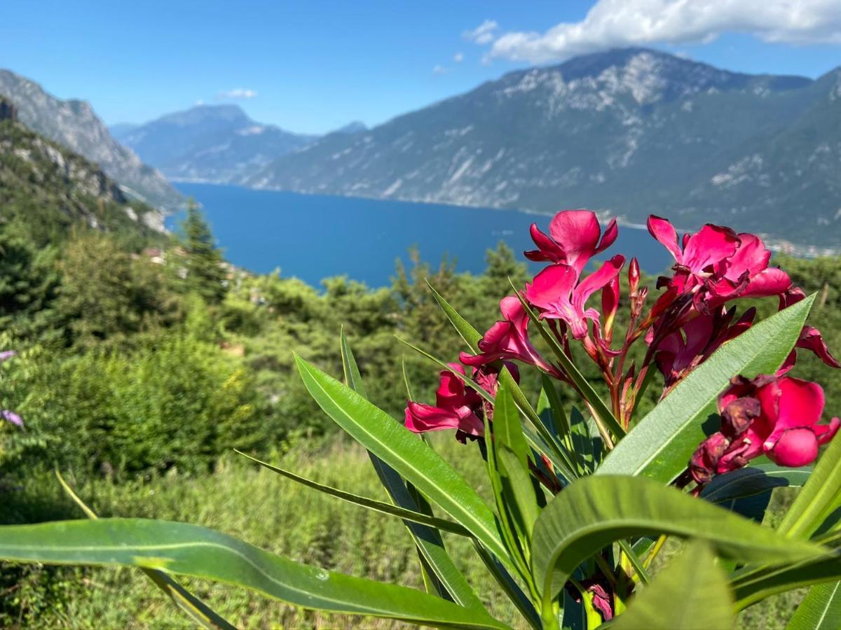 Un Balcone Sul Garda Lejlighed Tremosine Eksteriør billede
